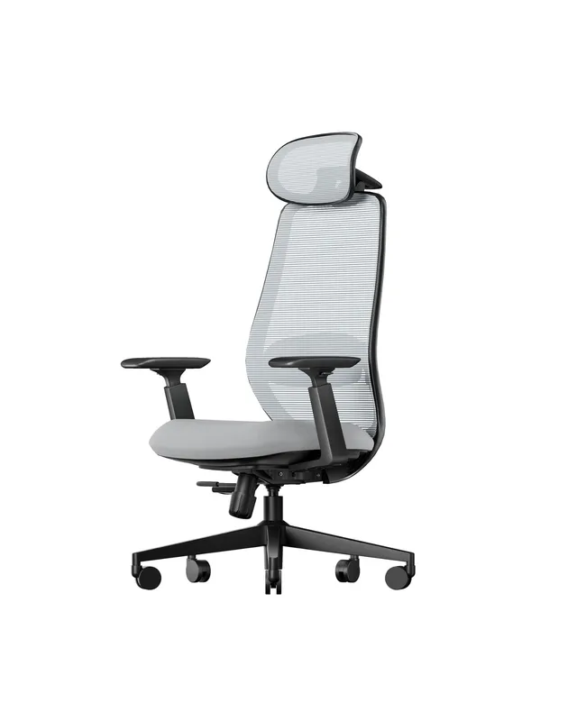 ProtoArc EC200 Chair